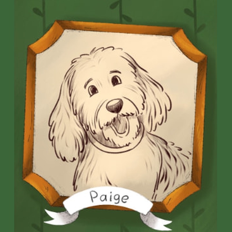 Illustrated framed portrait of Paige