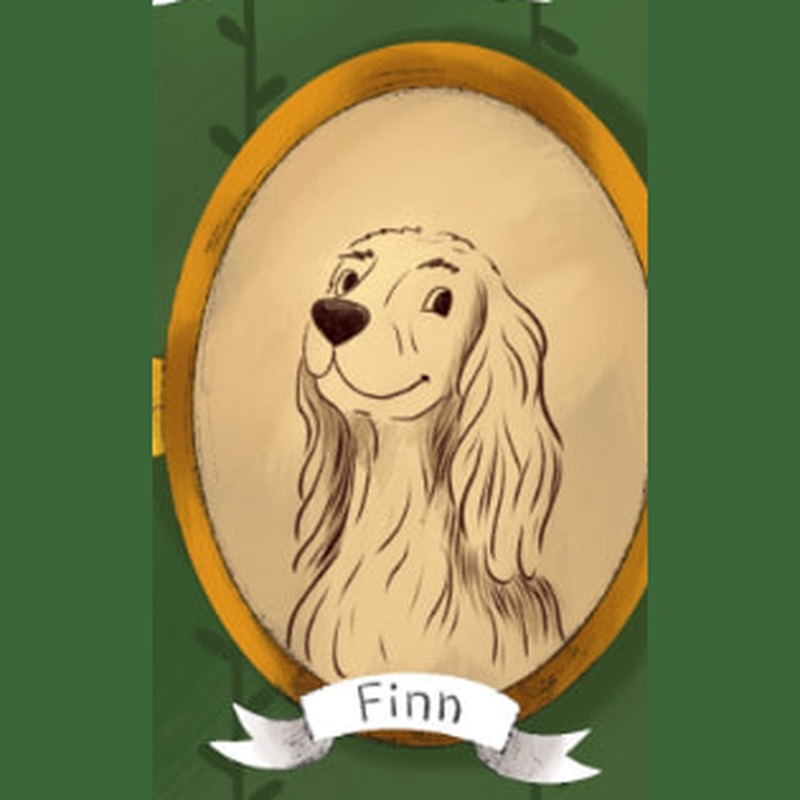 Illustrated framed portrait of Finn