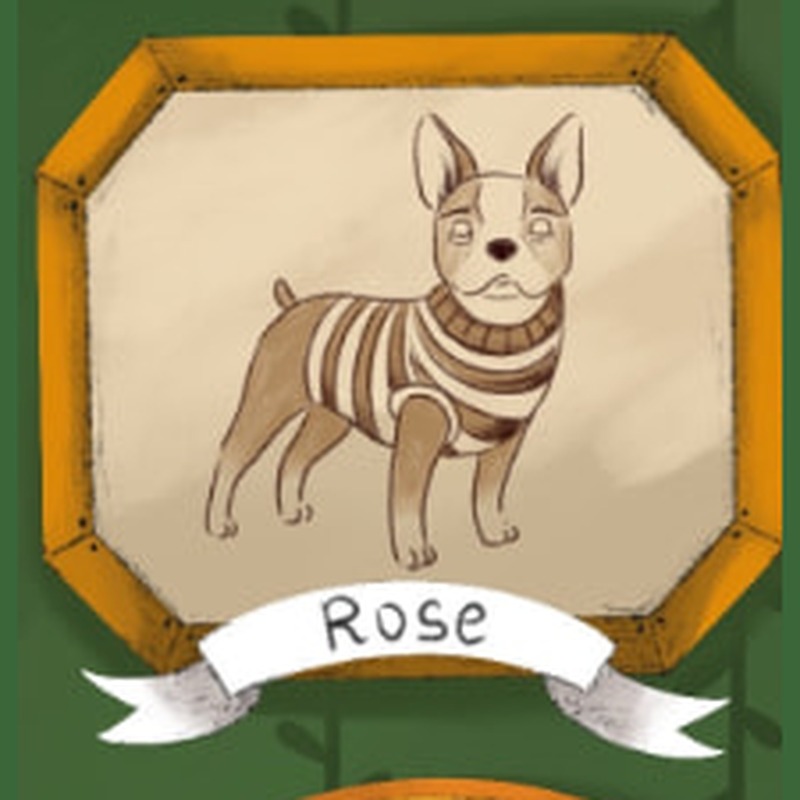 Illustrated framed portrait of Rose