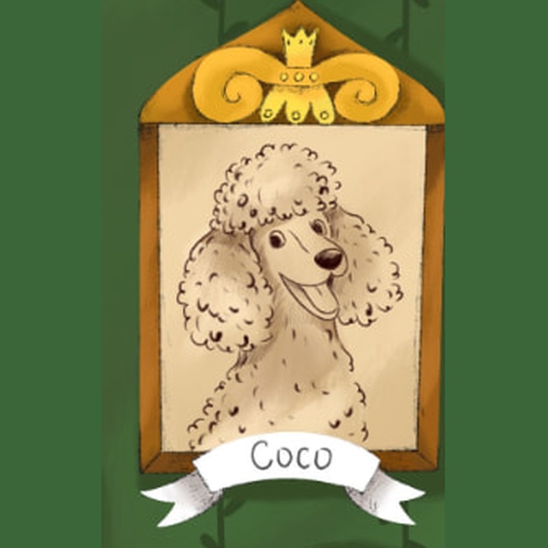 Illustrated framed portrait of Coco