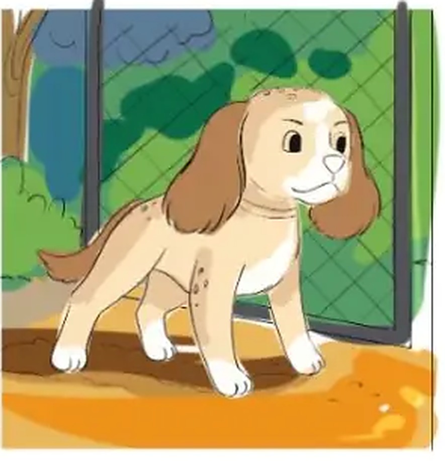 Daisy stepping through the open dog park gate for the first time